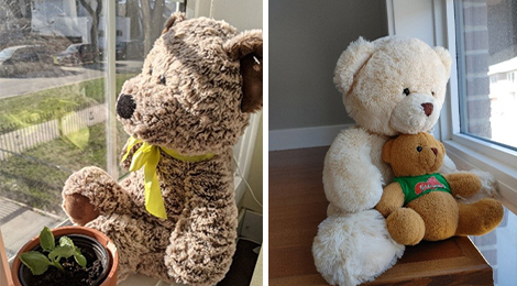 Jordan Principle Bears 1.jpg (146 KB)